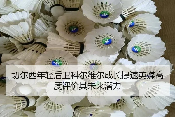 切尔西年轻后卫科尔维尔成长提速英媒高度评价其未来潜力