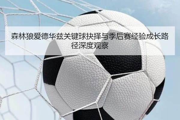 森林狼爱德华兹关键球抉择与季后赛经验成长路径深度观察